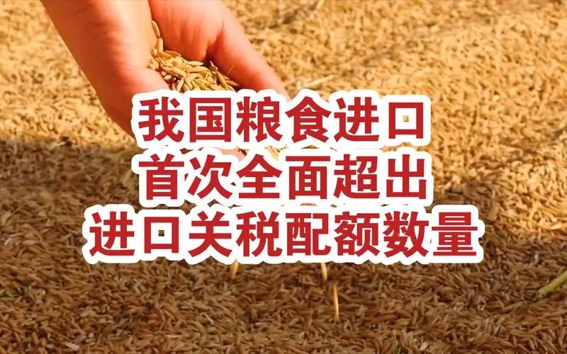 海南糧食進口關稅配額審批、海南三亞全省代辦