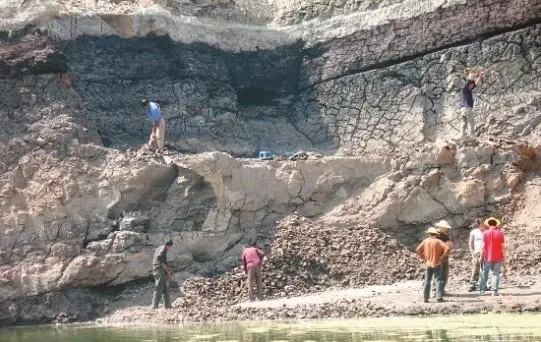 重點保護古生物化石發(fā)掘審批海南三亞代辦