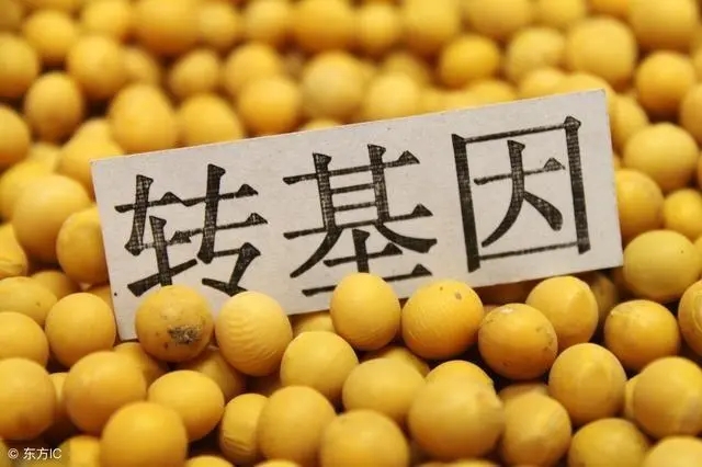 農(nóng)業(yè)轉(zhuǎn)基因生物廣告審批海南三亞代辦