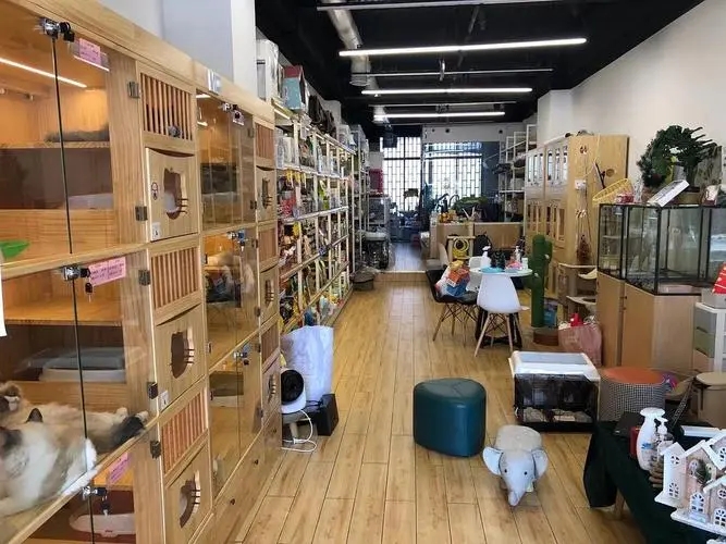 寵物店.webp.jpg