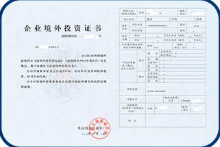 海南境外投資機構備案辦理流程