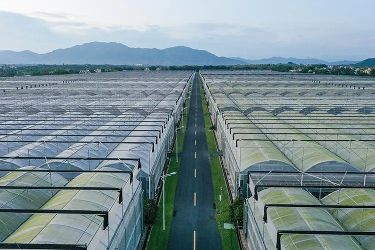 海南省重點現(xiàn)代農(nóng)業(yè)專項研發(fā)審批流程及時間