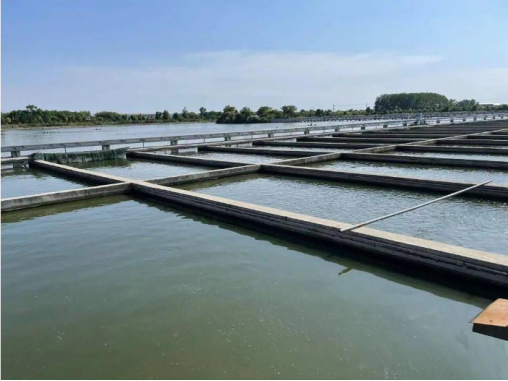 海南水產(chǎn)苗種進、出口許可證