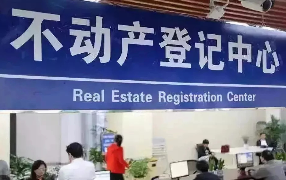 海南三亞地上森林、林木所有權(quán)變更代辦