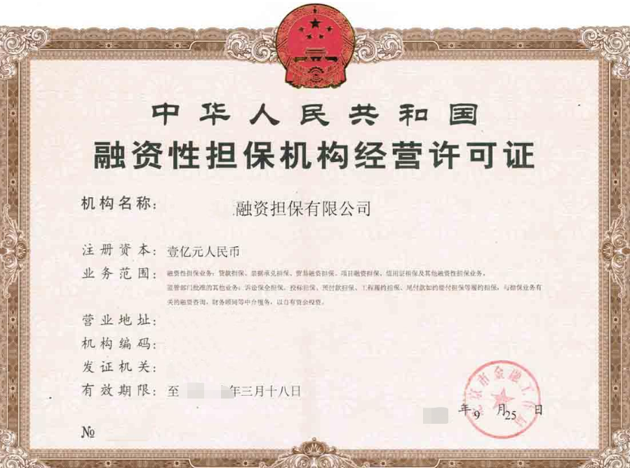 海南融資性擔保機構(gòu)經(jīng)營許可證辦理