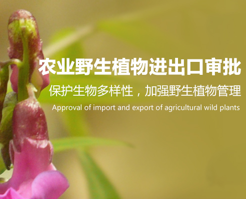 農業(yè)野生植物進出口審批-海南/?？?三亞代辦理經營許可證-易企算財稅公司